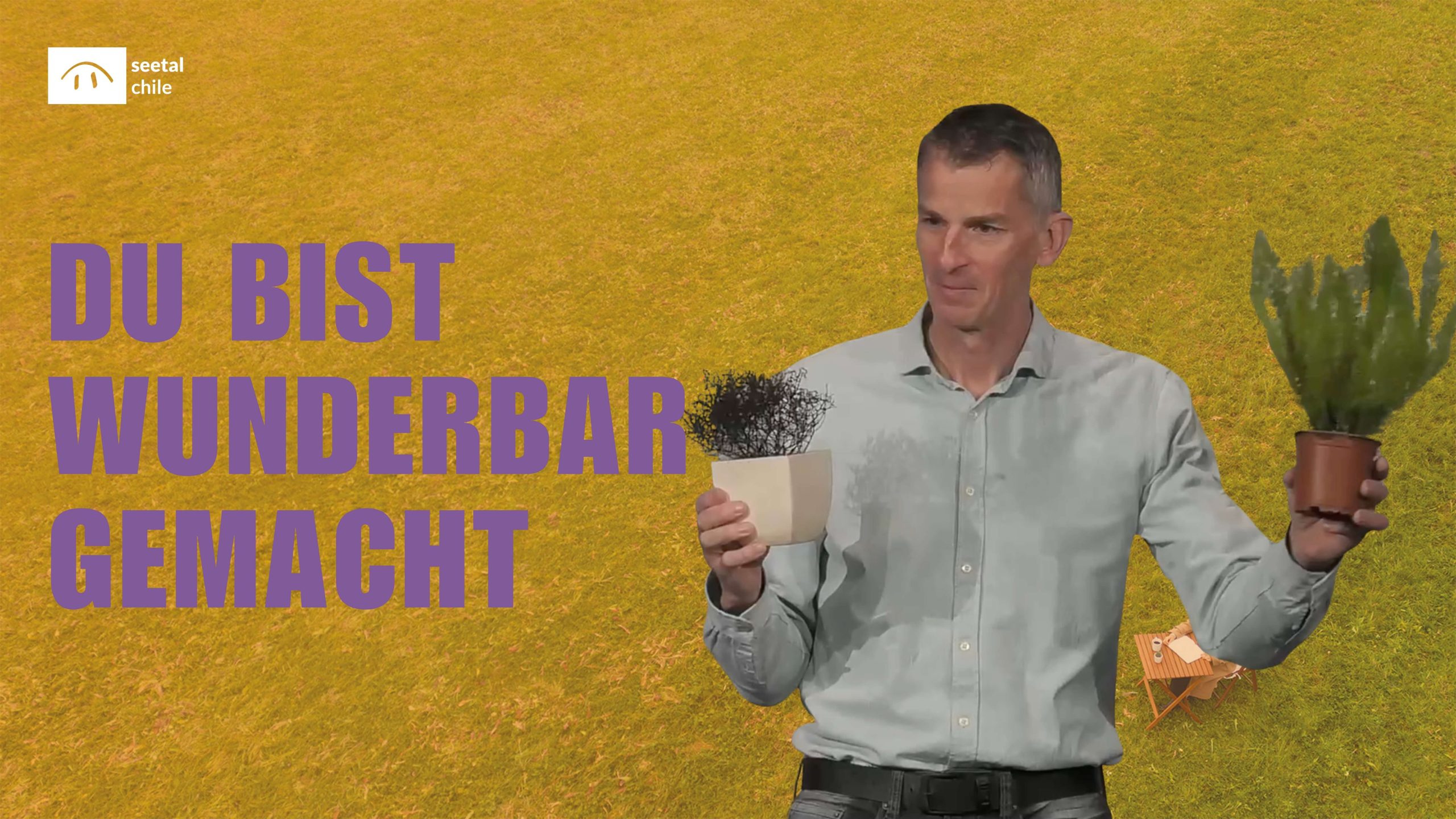 Du bist wunderbar gemacht